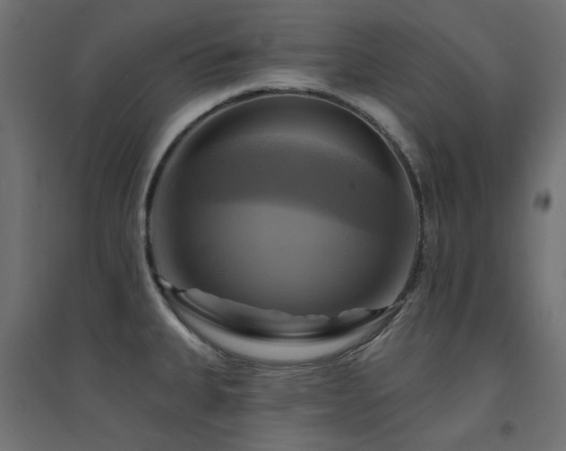 X0000094901335200711291223
