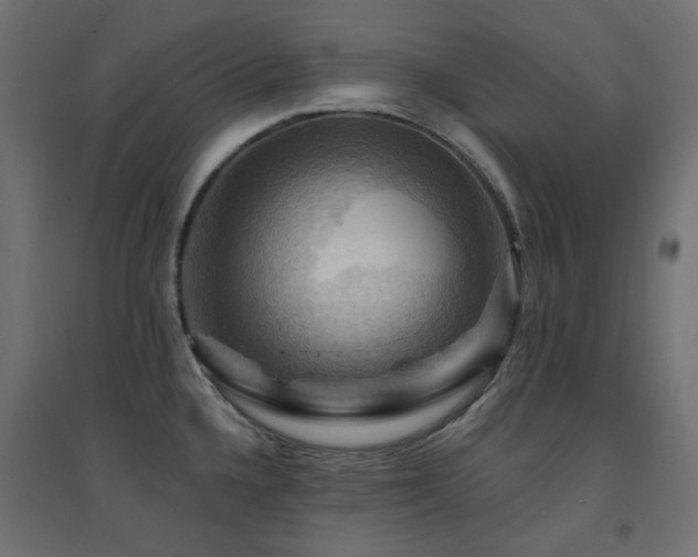 X0000094901336200711291223
