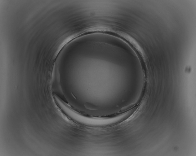 X0000094901337200711291223