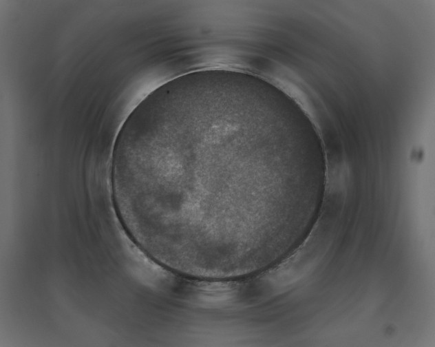 X0000094901338200711291224