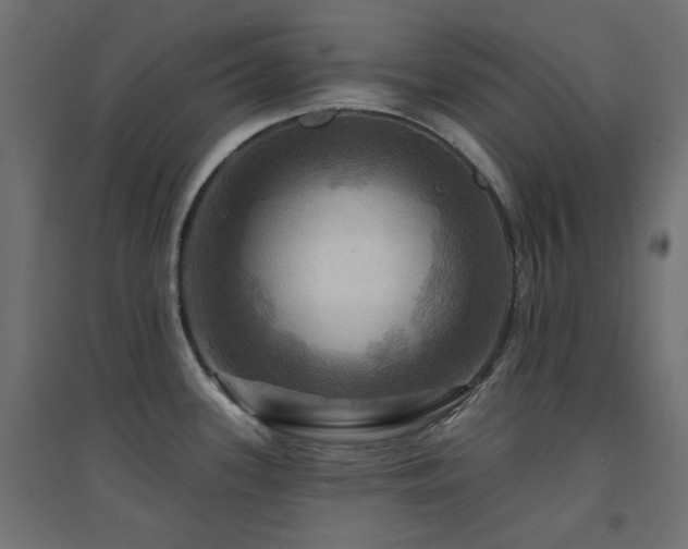 X0000094901339200711291224