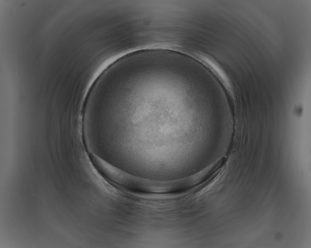 X0000094901340200711291224