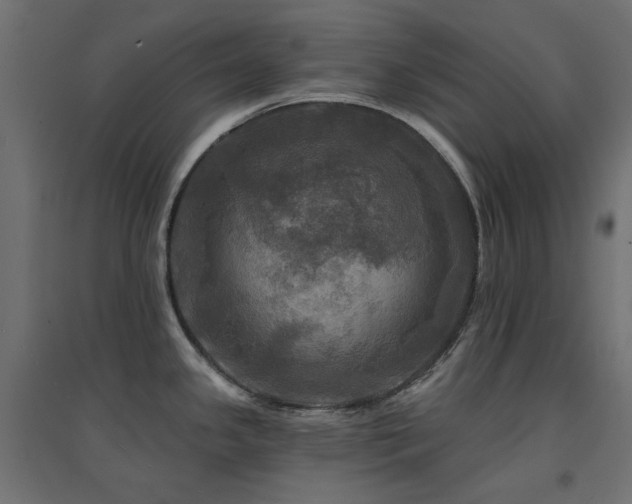 X0000094901341200711291224