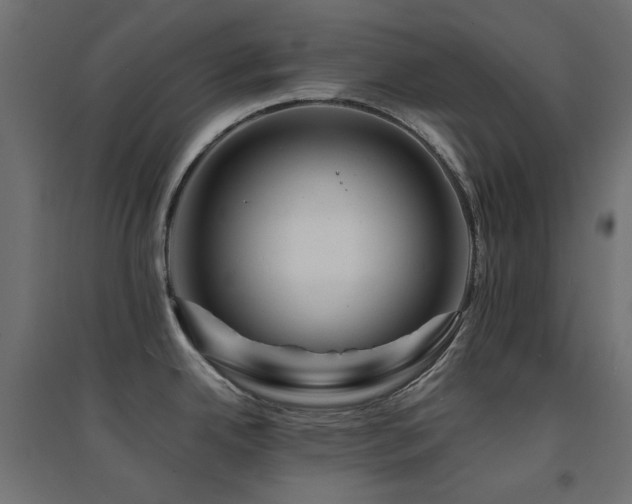 X0000094901342200711291224