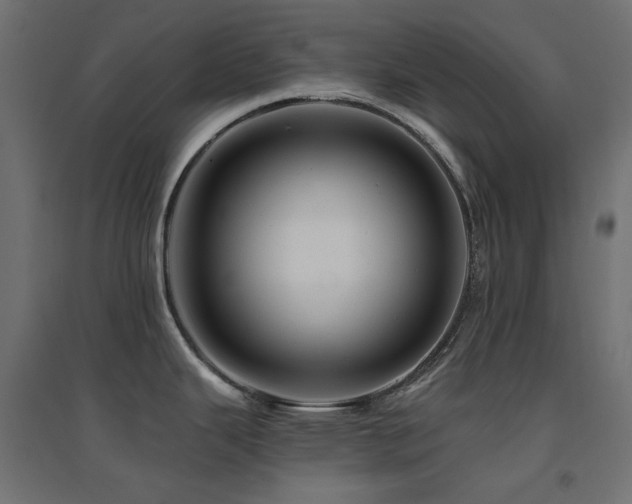 X0000094901343200711291224