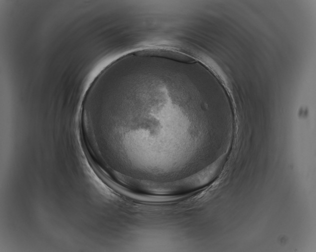 X0000094901344200711291224