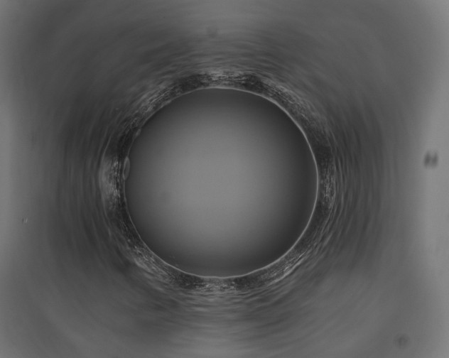 X0000094901346200711291223