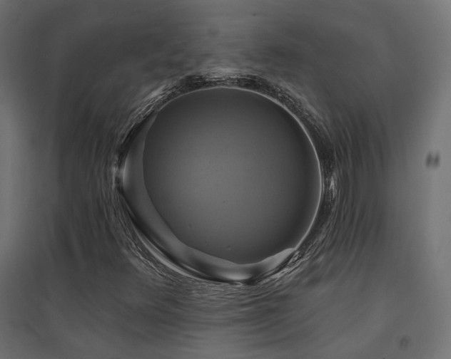 X0000094901348200711291223