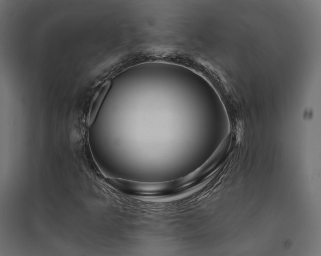X0000094901349200711291223