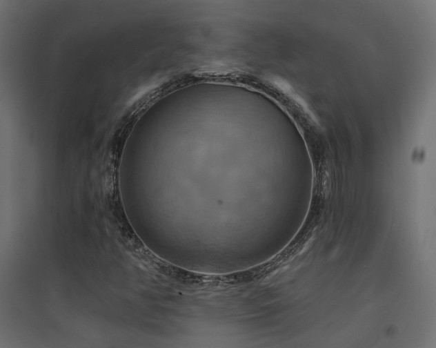 X0000094901350200711291223