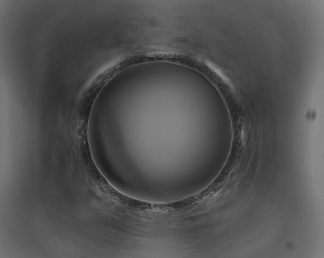 X0000094901351200711291223