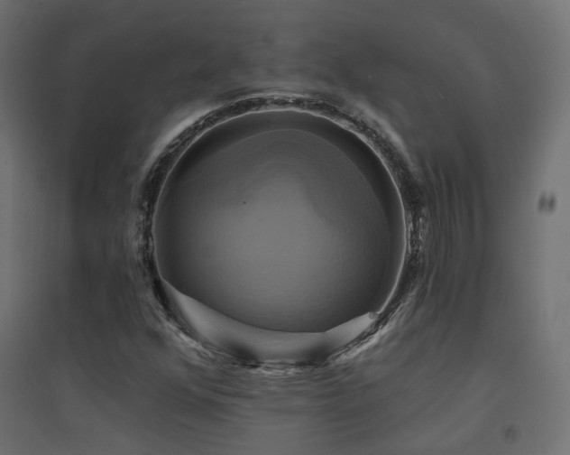 X0000094901352200711291223