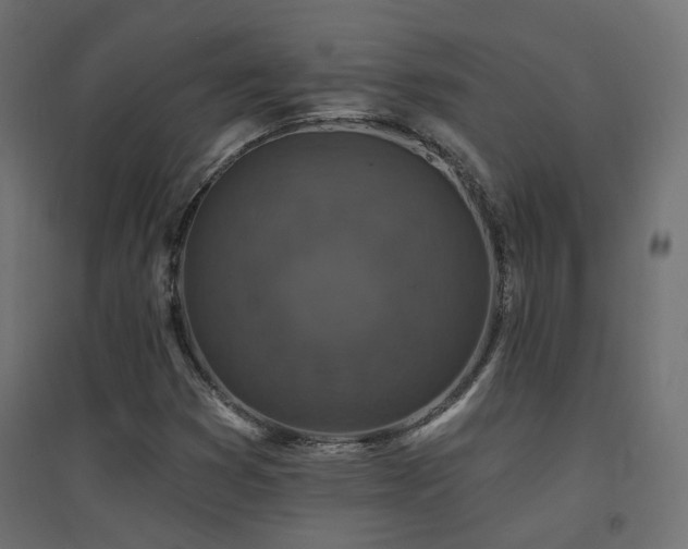 X0000094901353200711291223