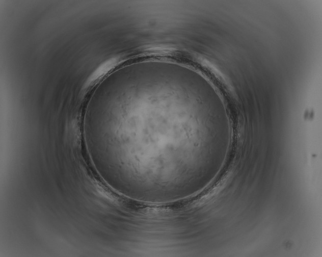 X0000094901354200711291223