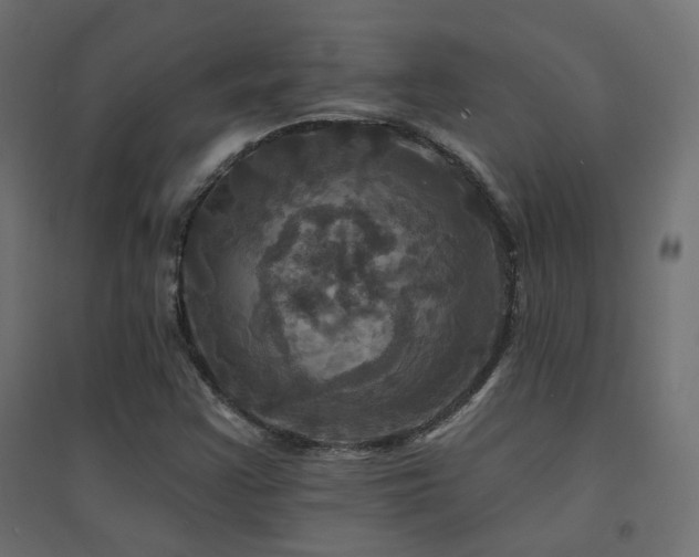 X0000094901355200711291223