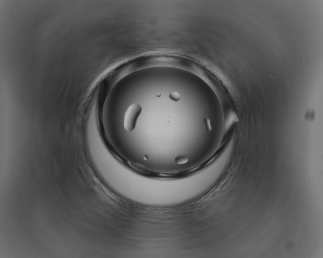 X0000094901356200711291223