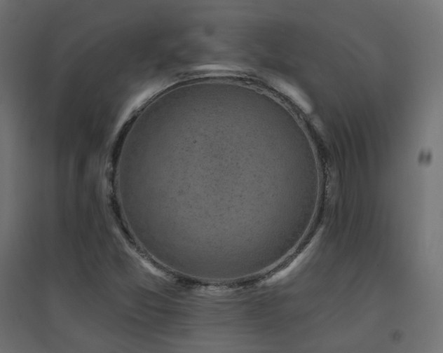 X0000094901357200711291223