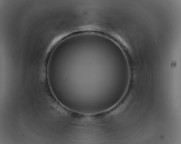 X0000094901358200711291223
