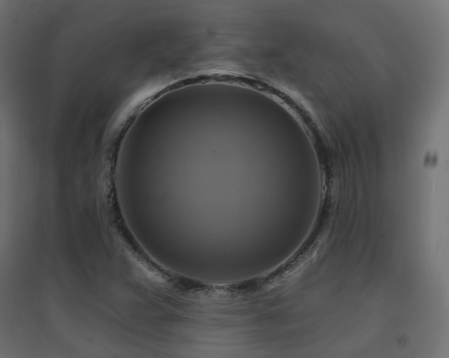 X0000094901359200711291223