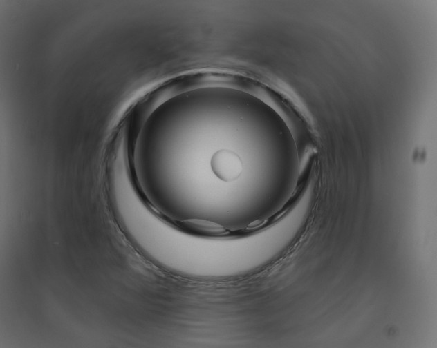 X0000094901360200711291223