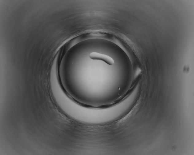 X0000094901361200711291223