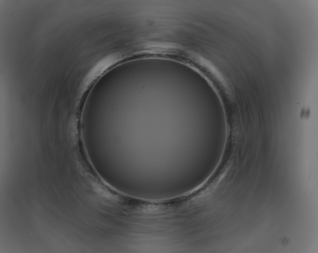 X0000094901362200711291223