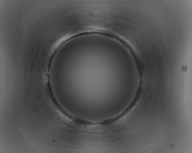 X0000094901363200711291223