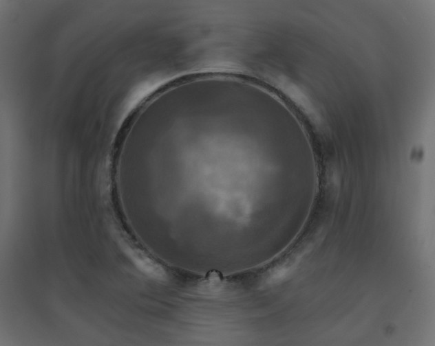 X0000094901364200711291222