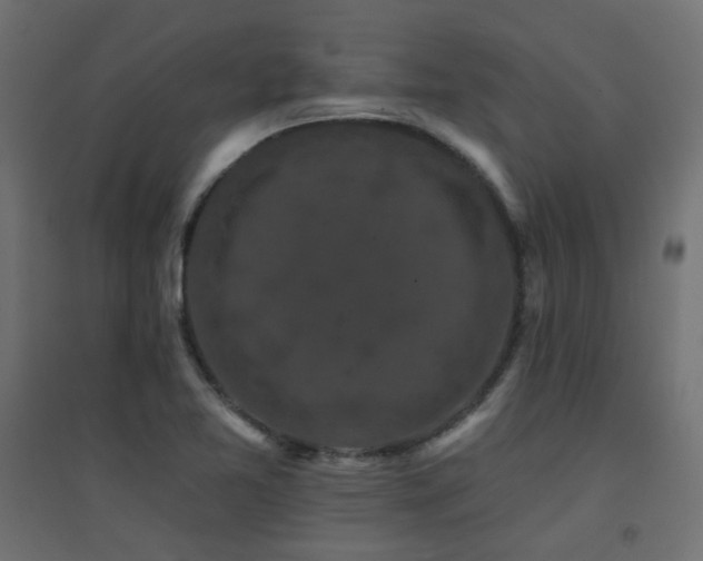 X0000094901365200711291222
