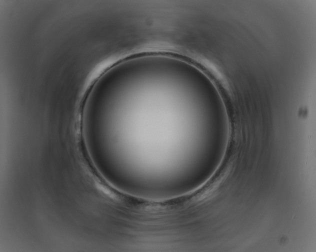 X0000094901366200711291222