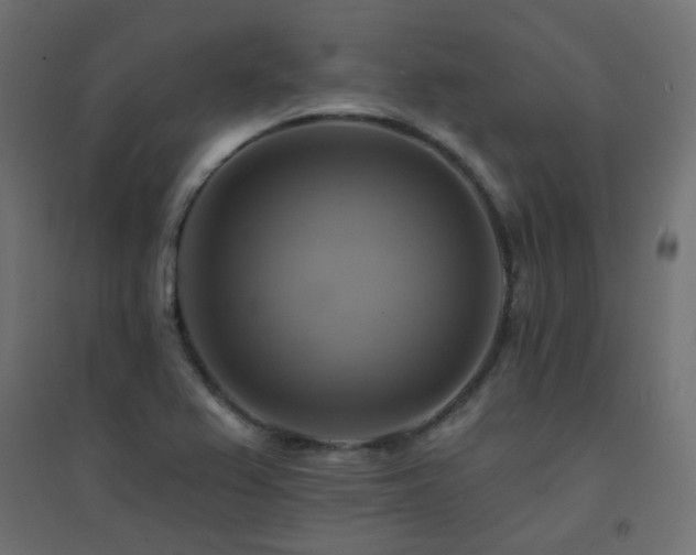 X0000094901367200711291222