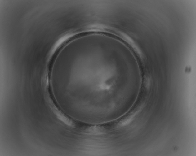 X0000094901368200711291222