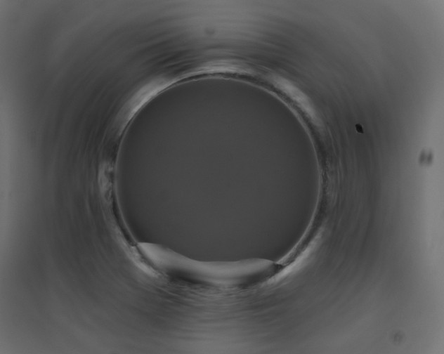 X0000094901369200711291222