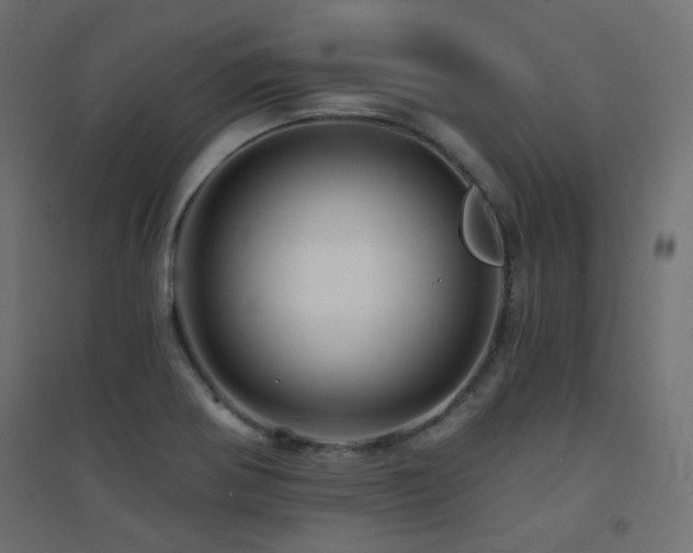 X0000094901370200711291222