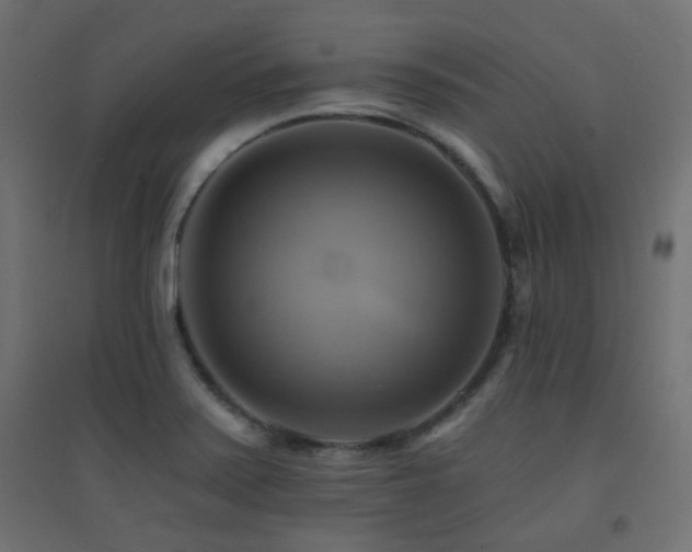 X0000094901371200711291222
