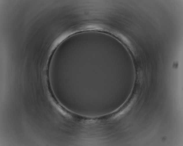 X0000094901373200711291222