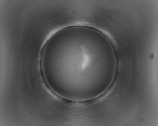 X0000094901374200711291222