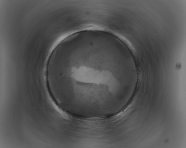 X0000094901375200711291222