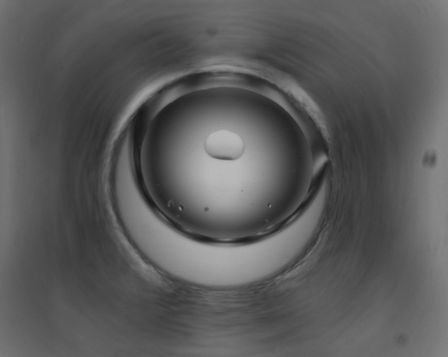 X0000094901376200711291222