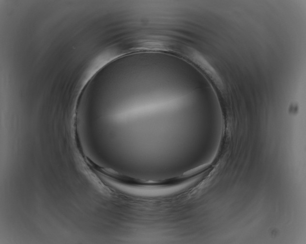 X0000094901378200711291222