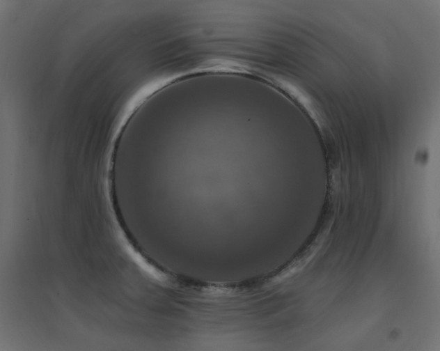 X0000094901379200711291222