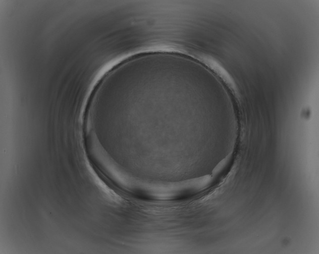 X0000094901380200711291222
