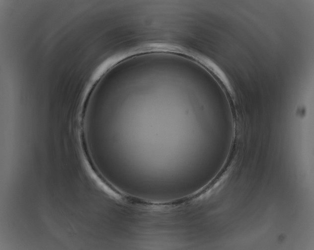 X0000094901381200711291222