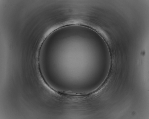 X0000094901382200711291222