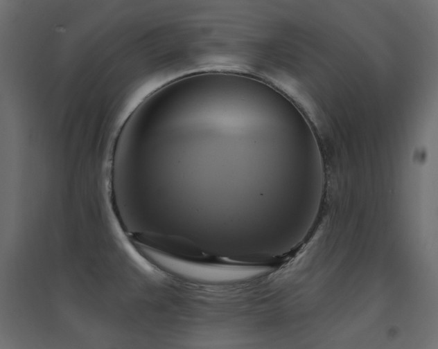 X0000094901383200711291222