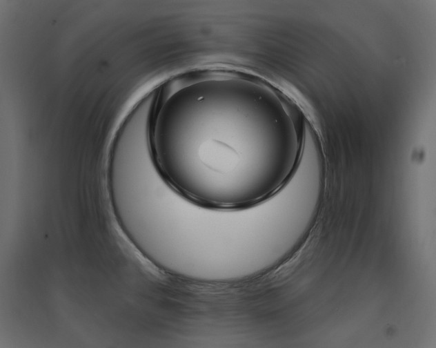 X0000094901384200711291222