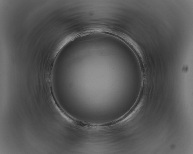 X0000094901385200711291222