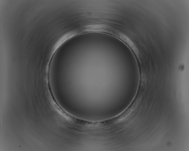 X0000094901386200711291222
