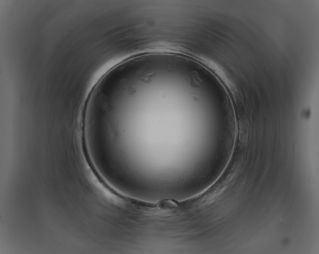 X0000094901387200711291222