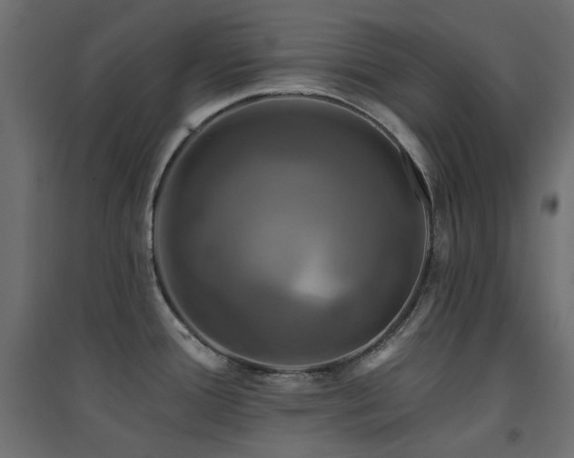 X0000094901388200711291222